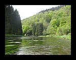 IMG_3207.JPG