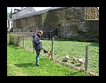 IMG_3213.JPG