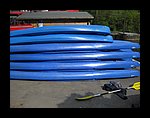 IMG_3246.JPG
